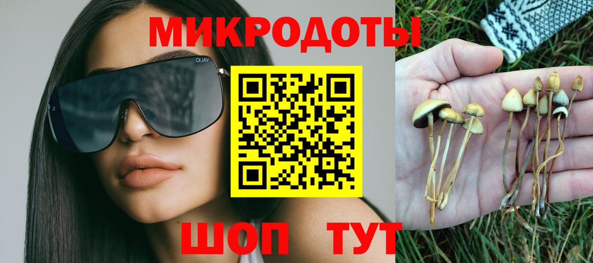 Галлюциногенные грибы MAGIC MUSHROOMS Клин